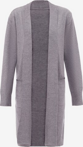 dulcey Knit Cardigan in Grey: front