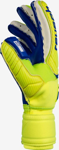 REUSCH Athletic Gloves 'Attrakt Duo Ortho-Tec' in Blue