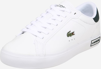 LACOSTE Baskets basses en vert foncé / blanc, Vue avec produit