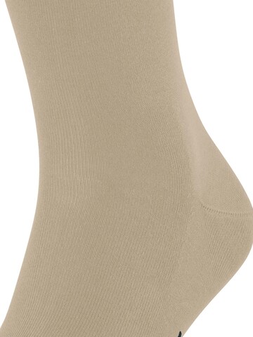 FALKE Cool 24/7 in Beige