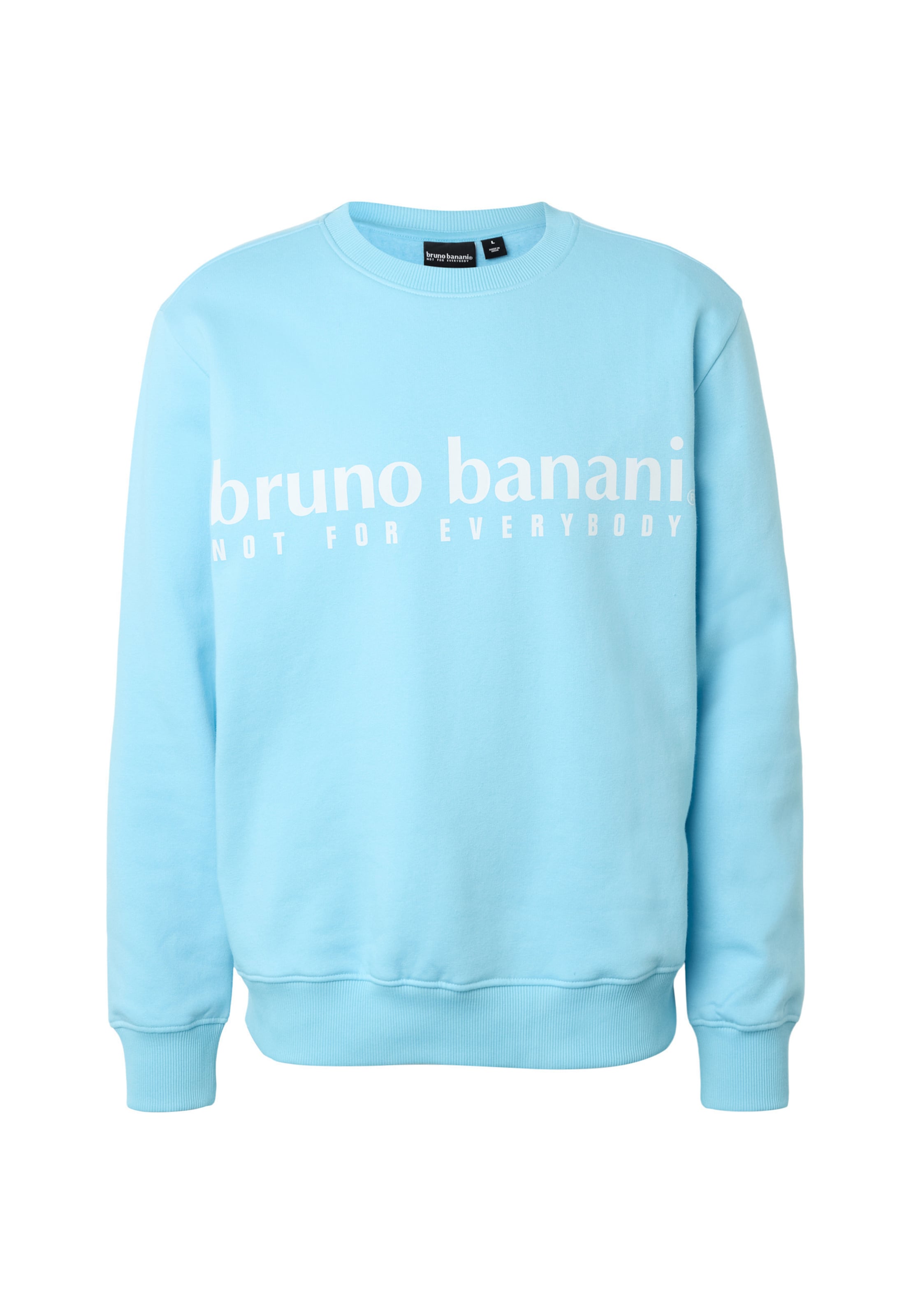 Bruno Banani Sweatshirt in Blue: front