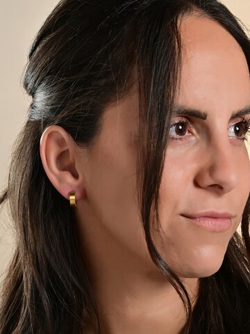 Akzent Earrings 'Delia, langlebig' in Gold: front