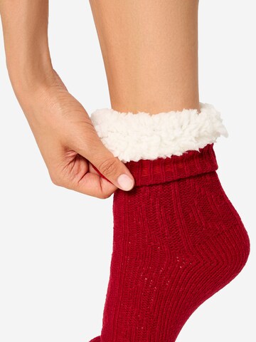 Nur Die Sokken ' Flausch Socken ' in Rood