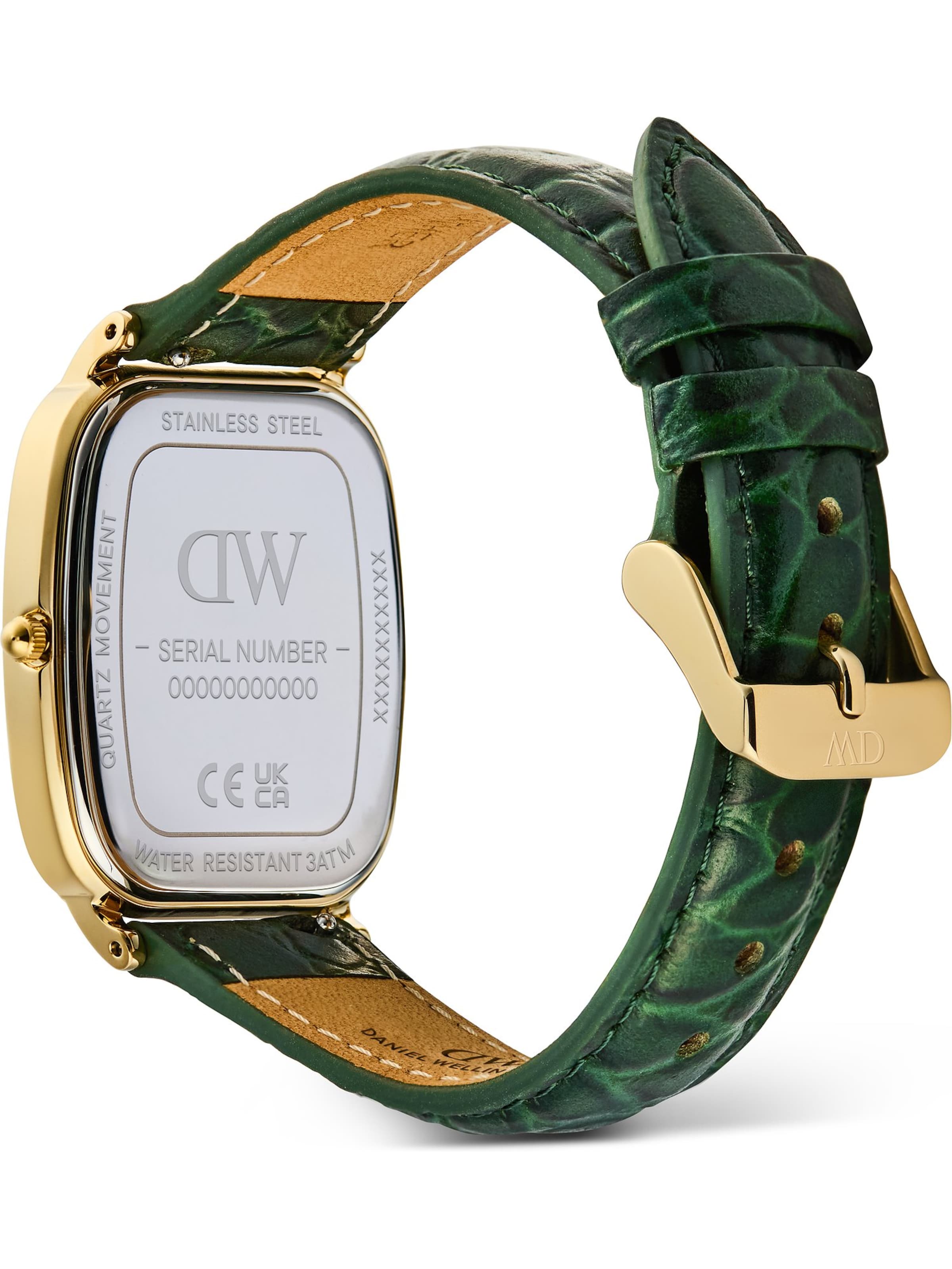 Daniel Wellington Analoguhr in Grün
