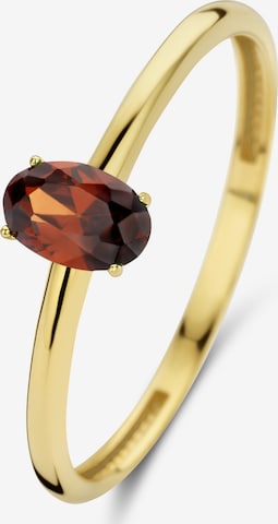 Isabel Bernard Ring in Brown: front