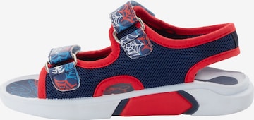 DISNEY Sandale in Blau: Vorderseite