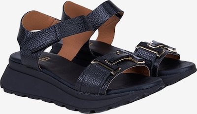 Desa Sandale 'Keilsandalen' in 36 in schwarz, Produktansicht