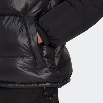 ADIDAS ORIGINALS Winter Jacket 'Down Regen ' in Black