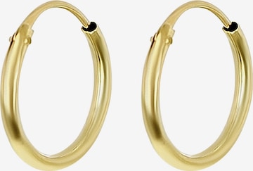 Lucardi Earrings in Gold: front