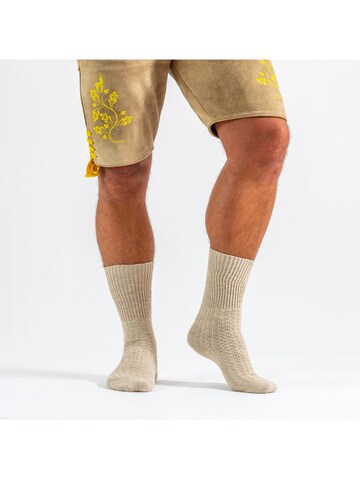 STOCKERPOINT Socken 'OC-Ludwig' in Mischfarben