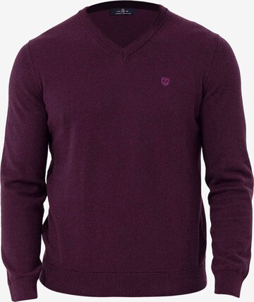 Pull-over Jimmy Sanders en violet : devant