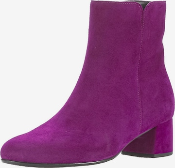 Bottines GABOR en violet : devant