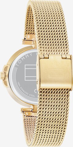 TOMMY HILFIGER Uhr in Gold