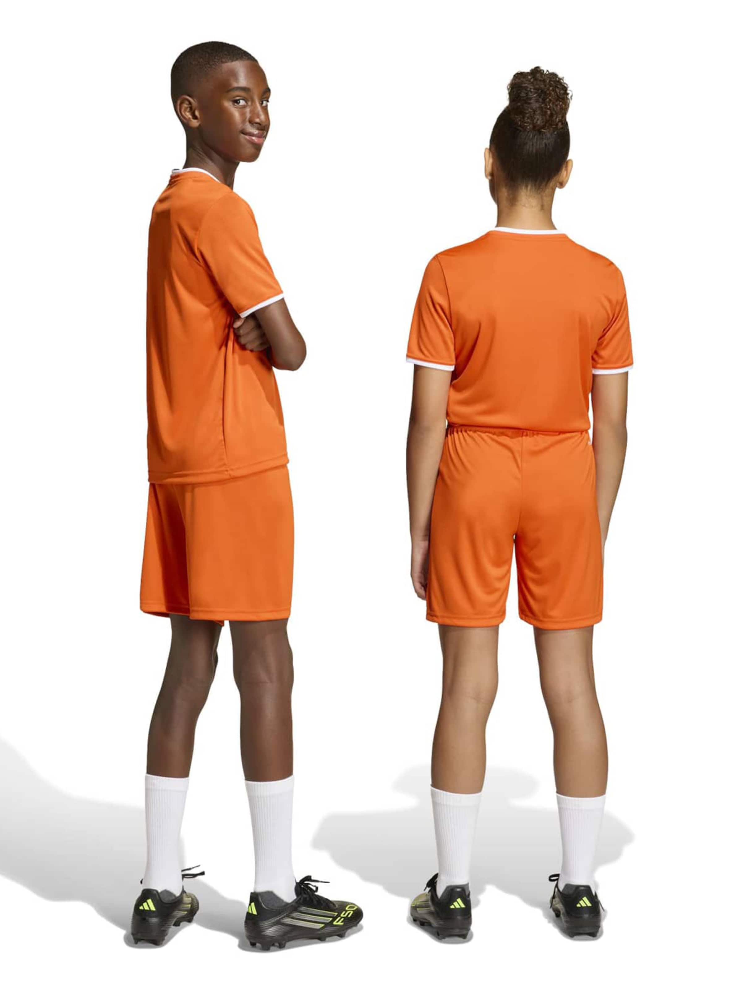 ADIDAS PERFORMANCE regular Παντελόνι φόρμας 'ENT26' σε πορτοκαλί