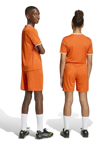 ADIDAS PERFORMANCE Обычный Спортивные штаны 'ENT26' в Оранжевый