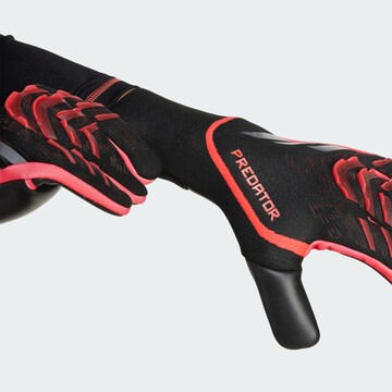 ADIDAS PERFORMANCE Sporthandschuhe 'Predator Pro' in Schwarz