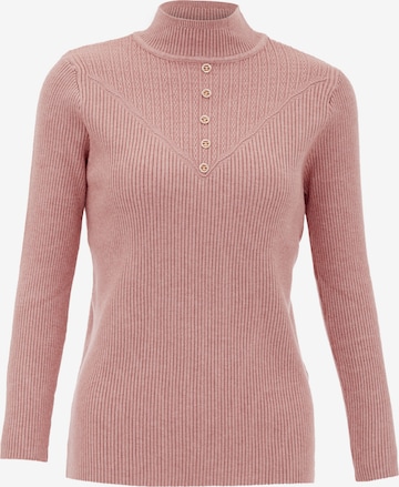 Pull-over tassia en rose : devant