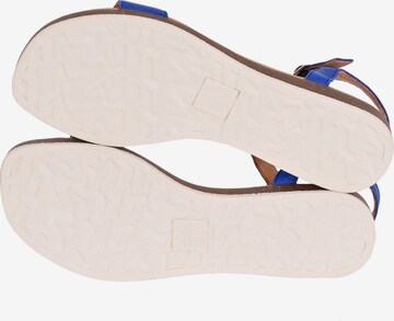 Apple of Eden Sandalen met riem 'Isa' in Blauw