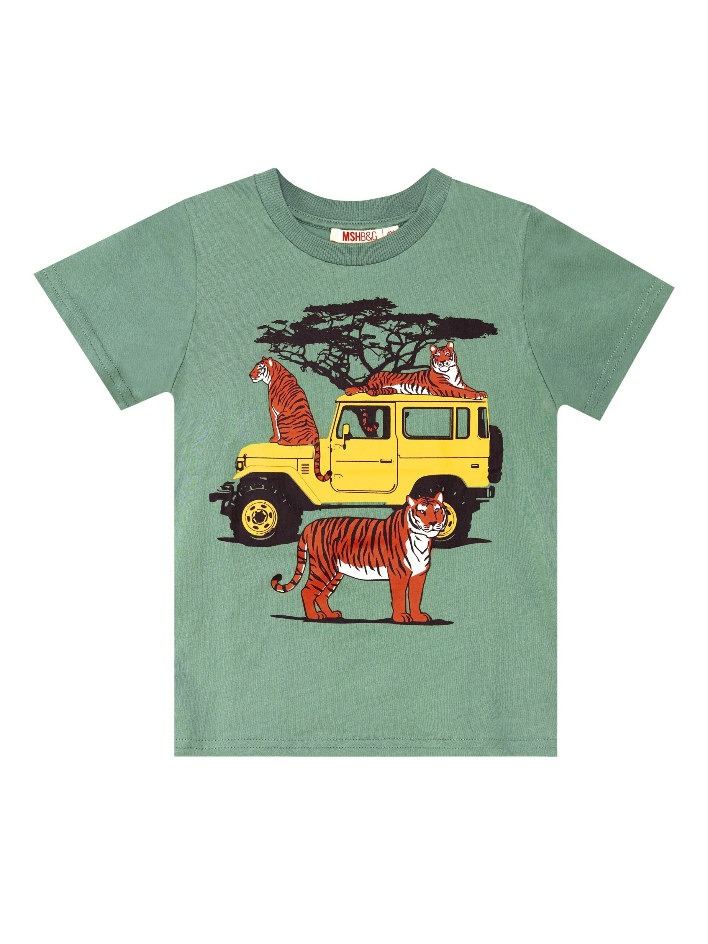 Denokids Tracksuit 'Safari Boy' in Green