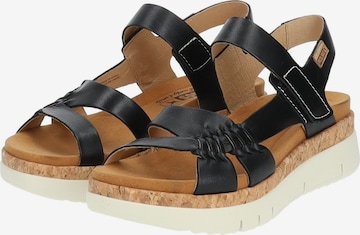 PIKOLINOS Sandals in Black