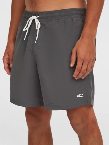O'NEILL Swimming shorts 'Vert' in Grey