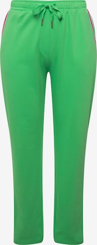 Angel of Style Tapered Pants in Green: front