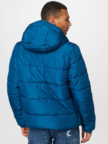 Superdry Winterjas in Blauw