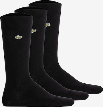 LACOSTE - Calcetines en negro: frente