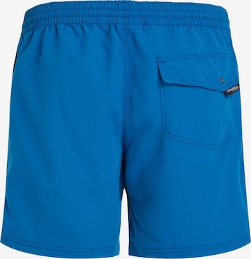 O'NEILL Sportbadehose 'Vert' in Blau