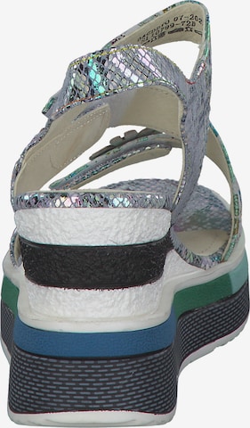 Laura Vita Strap Sandals 'Dacddyo 07' in Mixed colors