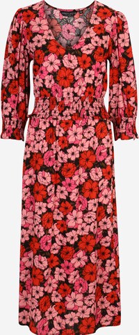 Dorothy Perkins Zomerjurk in Rood: voorkant