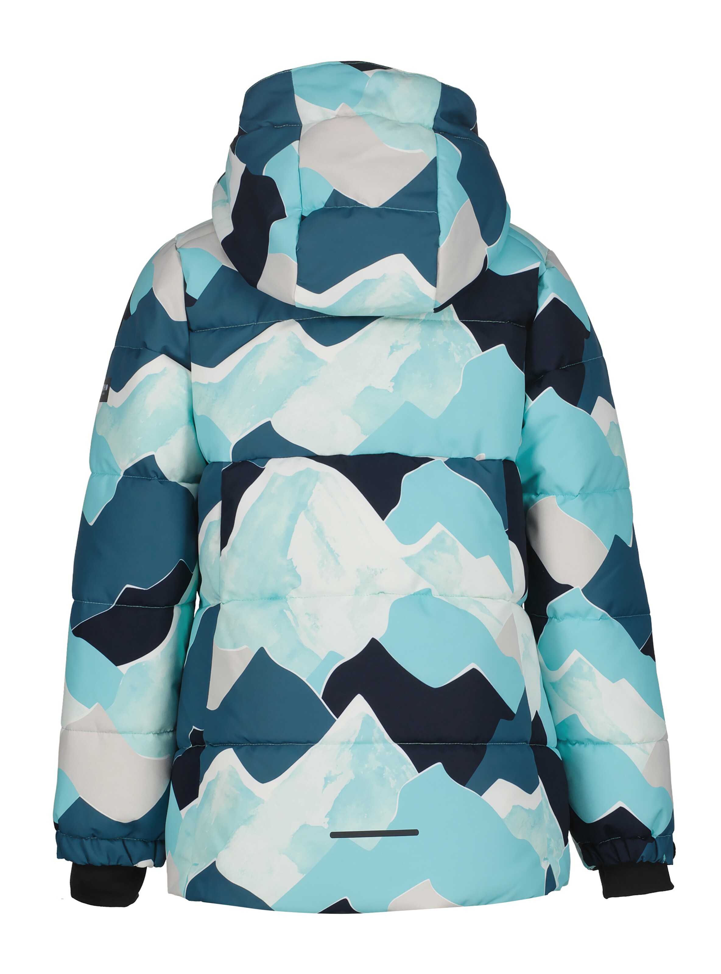 ICEPEAK Outdoor jacket in Blue