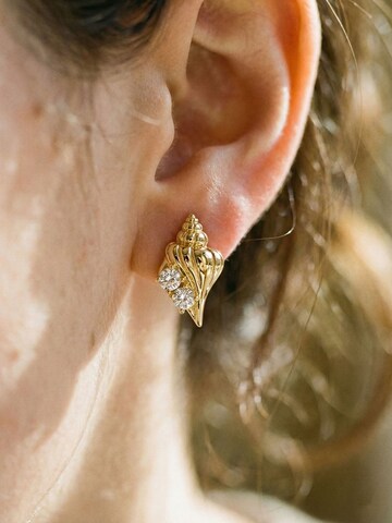 Nemomatheo Earrings 'Nautilus' in Gold