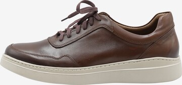 DreiMaster Vintage Sneakers in Brown: front