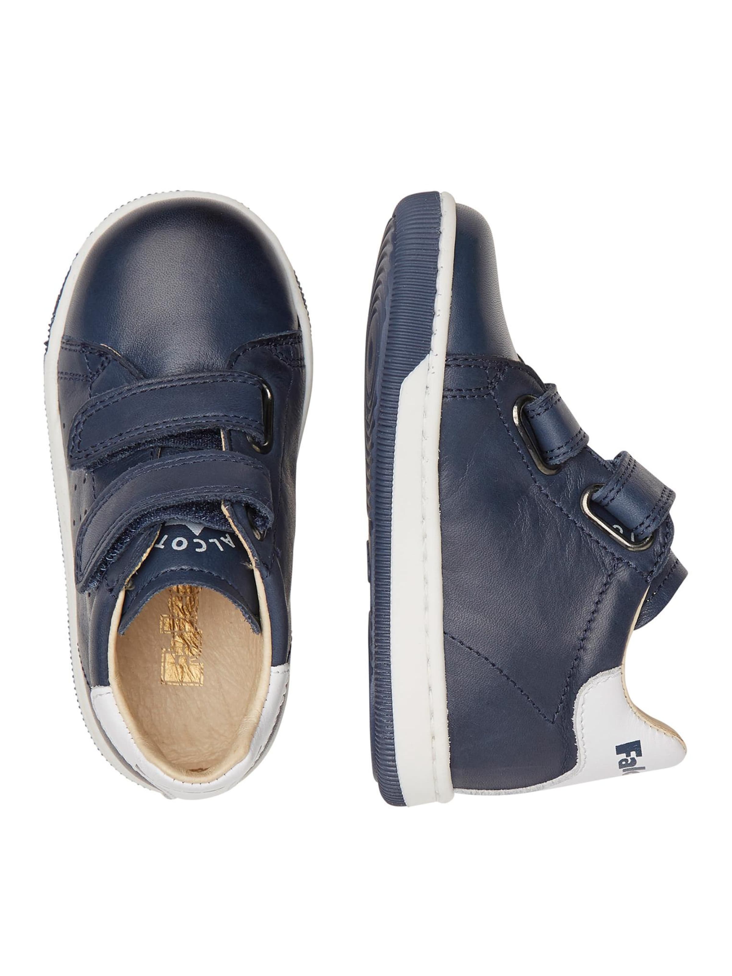 Falcotto Lage schoen 'ADAM VL' in Blauw