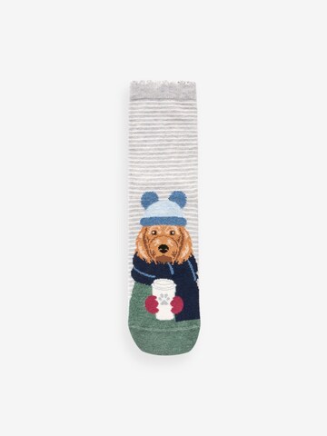 Next Socken in Mischfarben