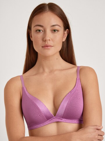 CALIDA - Triangular Soutien 'Cate' em roxo: frente