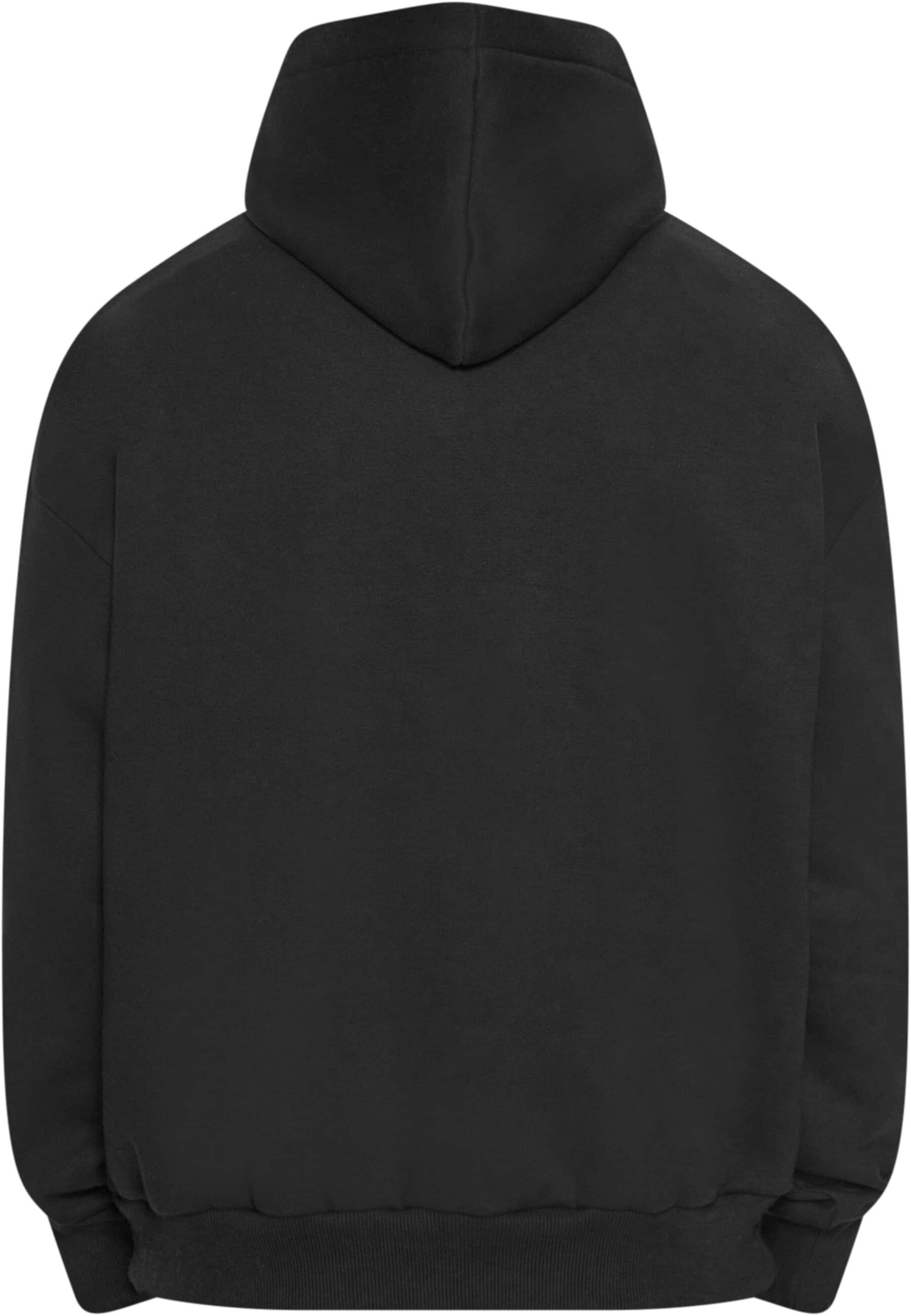 Dropsize Sweatshirt i sort