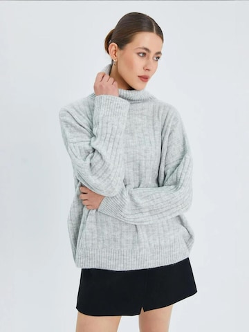 Pullover 'Pullover' di MixRay in grigio