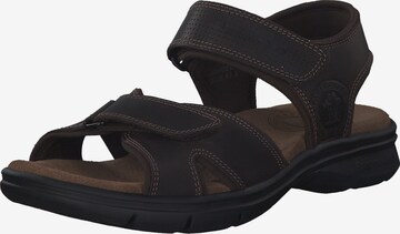 PANAMA JACK Sandalen 'Sanders Basics C1' in Bruin: voorkant