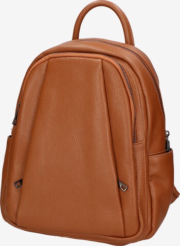 Gave Lux Backpack in Brown: front