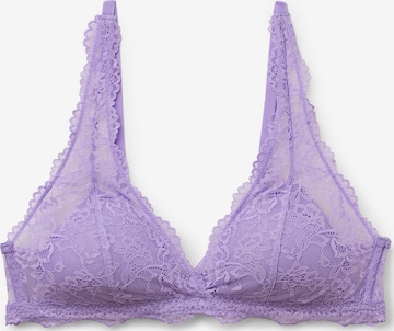 Tezenis Triangle Bra 'Havana' in Purple: front