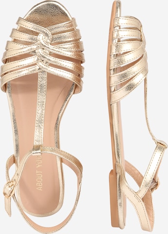 ABOUT YOU Strap Sandals 'Felicia' in Gold