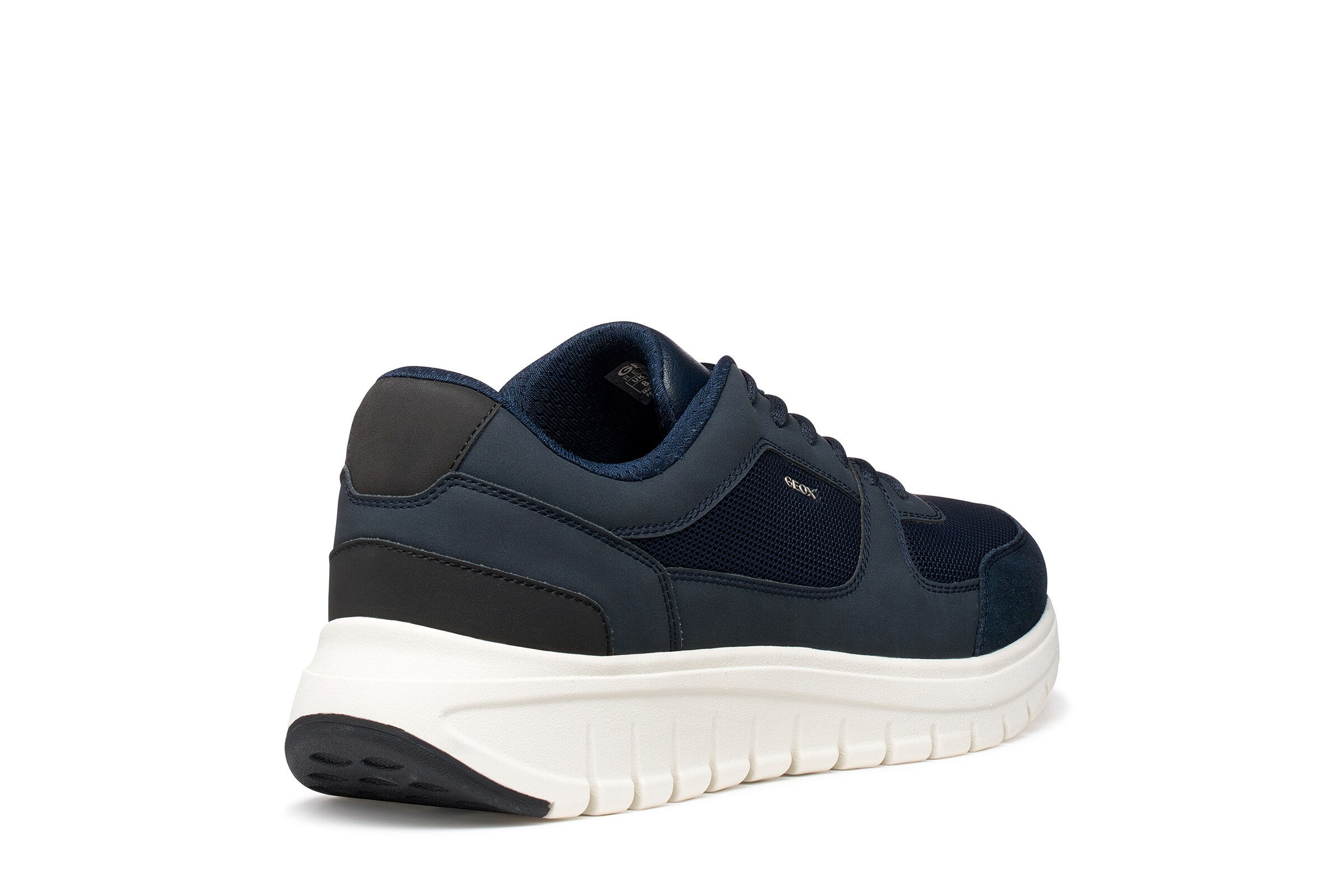 GEOX Sneaker in Blau
