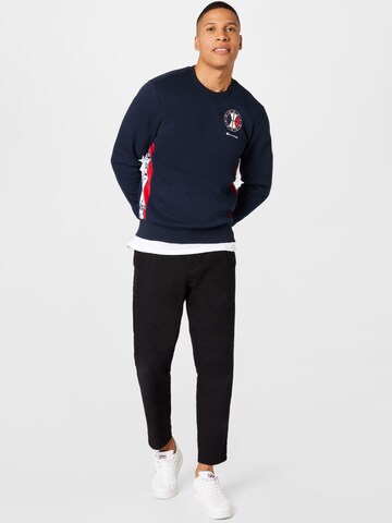 Champion Authentic Athletic Apparel Sweatshirt in Blue