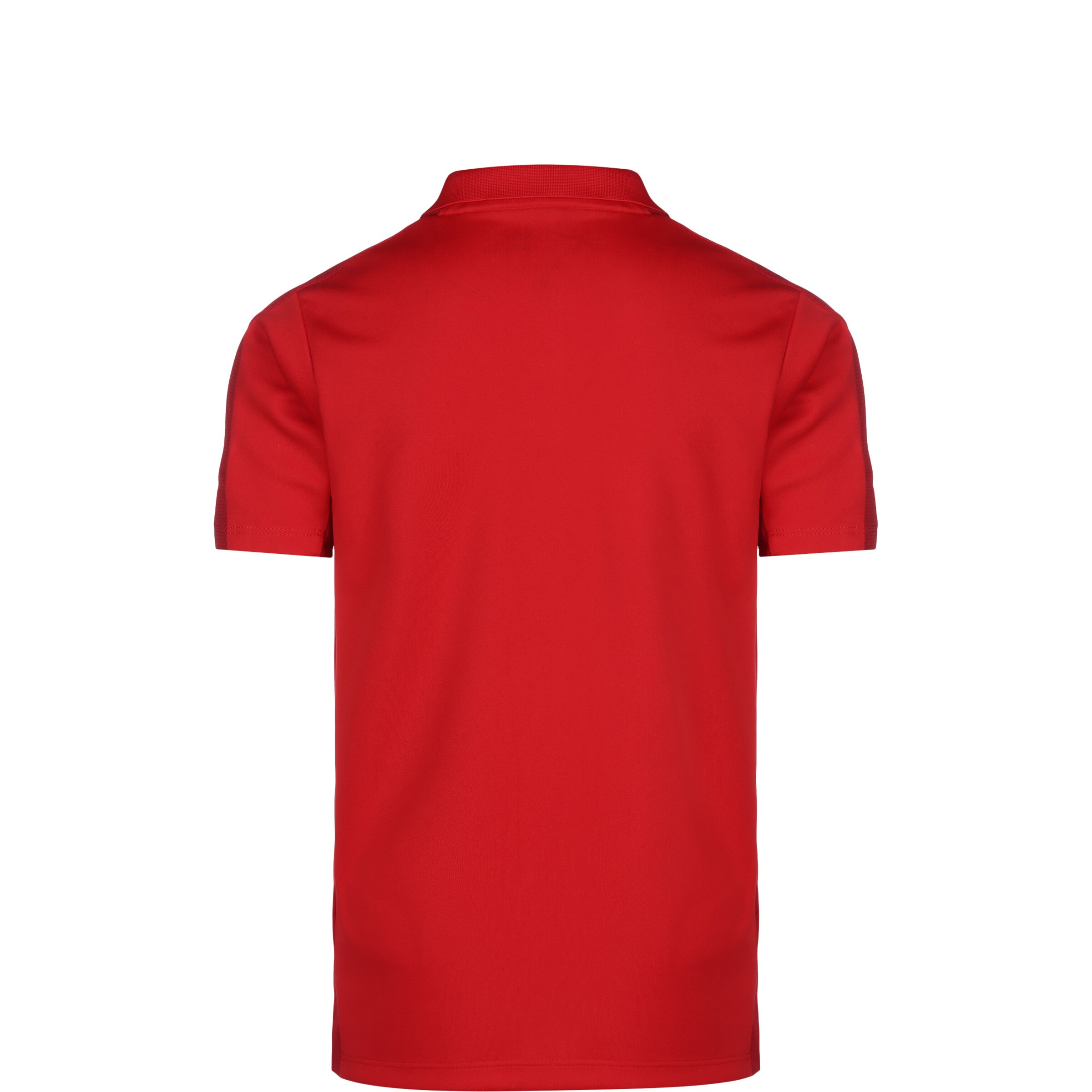 NIKE Performance Shirt 'Academy 23' in Red