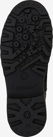 GEOX Stiefelette in Schwarz