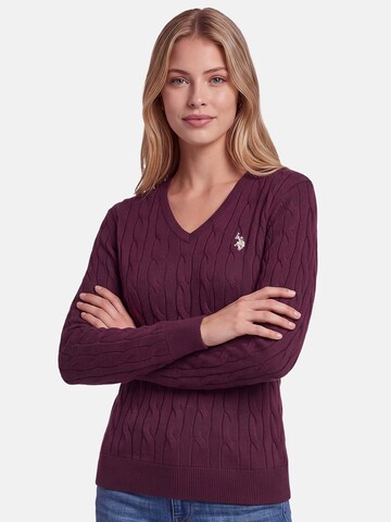 U.S. POLO ASSN. Sweater in Purple