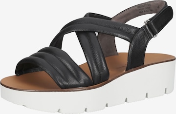 Paul Green Strap Sandals in Black: front