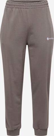 Virtus Workout Pants 'Hotown' in Grey: front